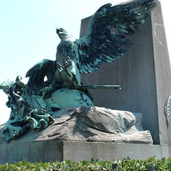 L'Aigle_blesse